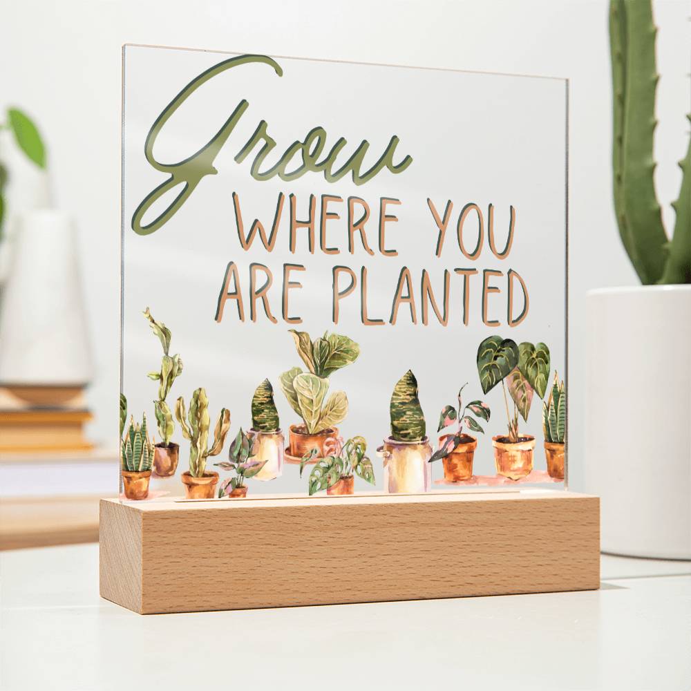 Grow Where You Are Planted - Funny Plant Acrylic with LED Night Light - Indoor Home Garden Decor - Perfect Gift for Plant Lovers