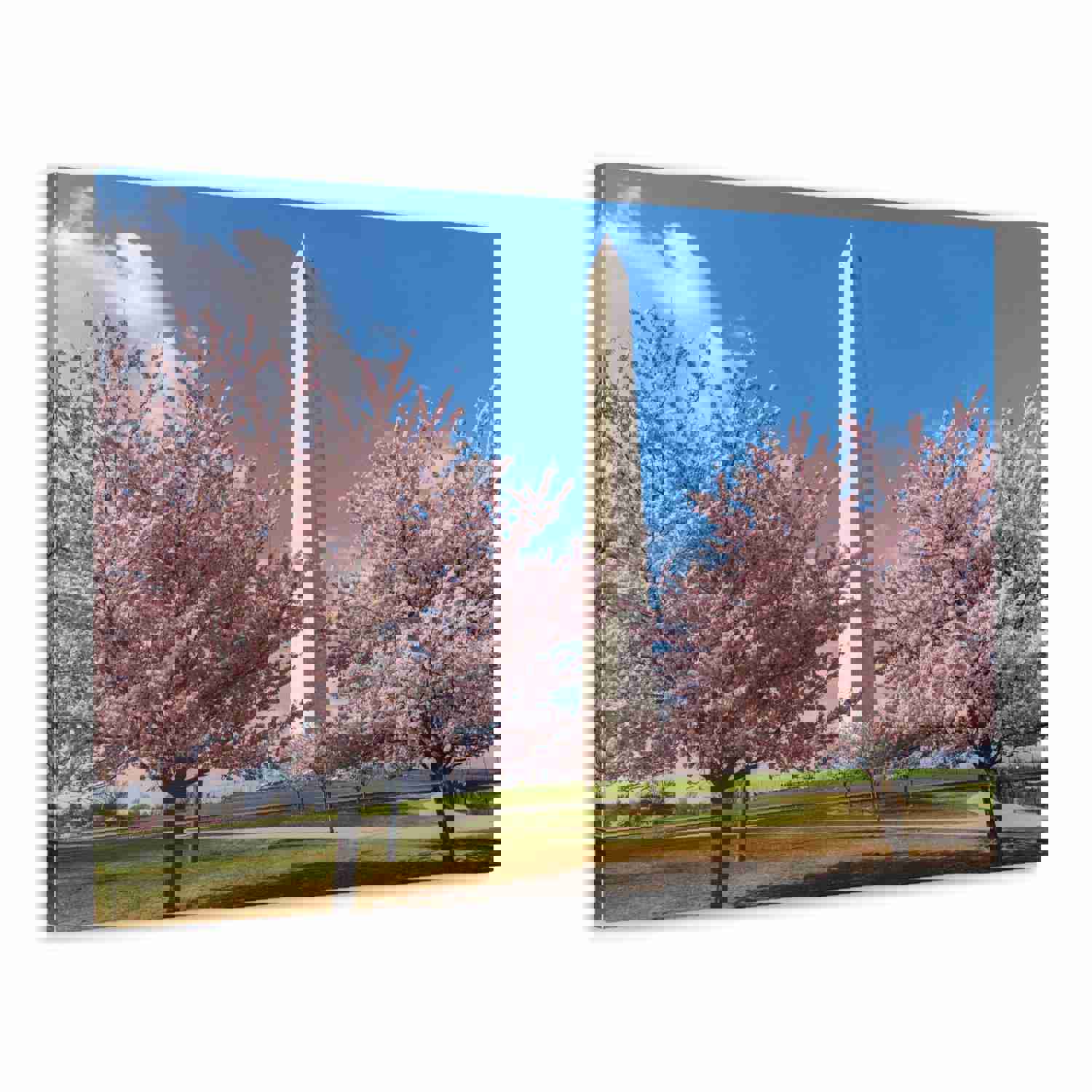Washington Blossom Festival Nature Wilderness Photography Canvas Wall Art for Home Decor