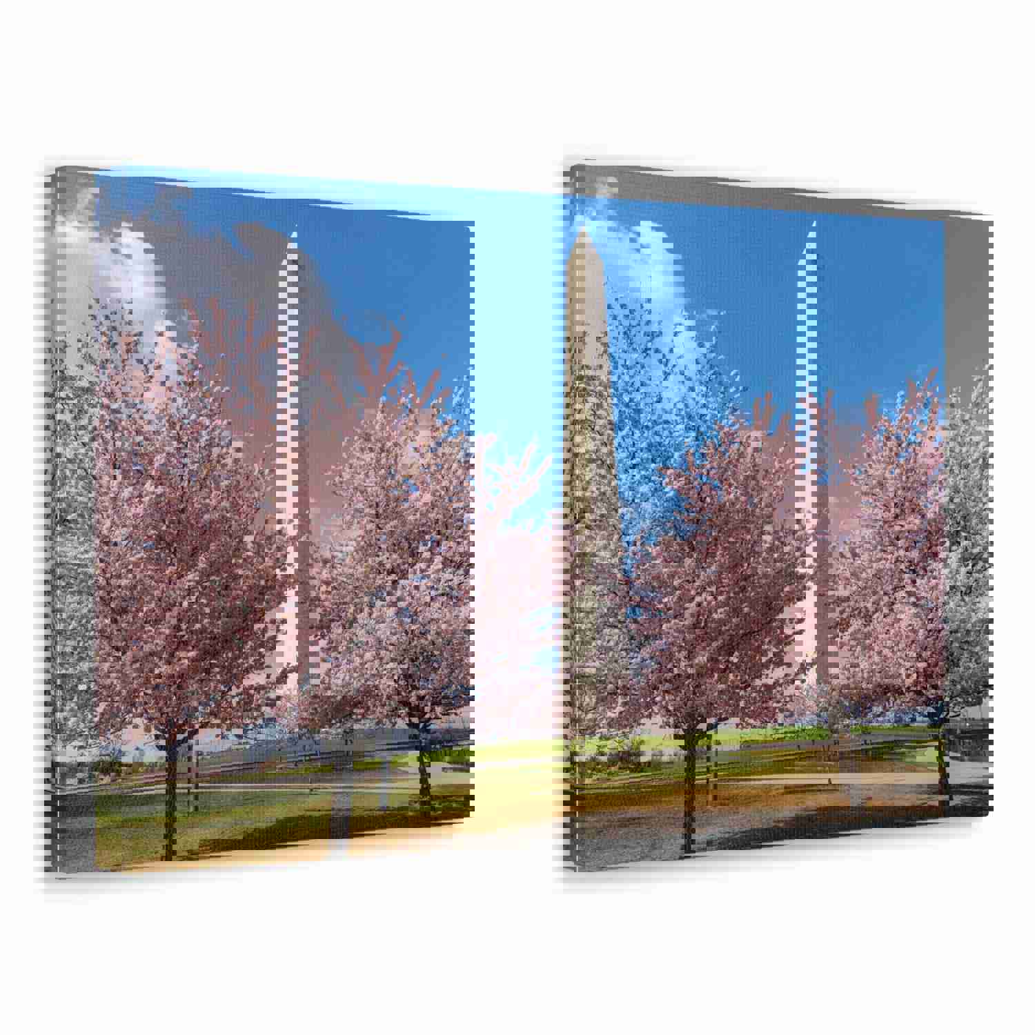Washington Blossom Festival Nature Wilderness Photography Canvas Wall Art for Home Decor