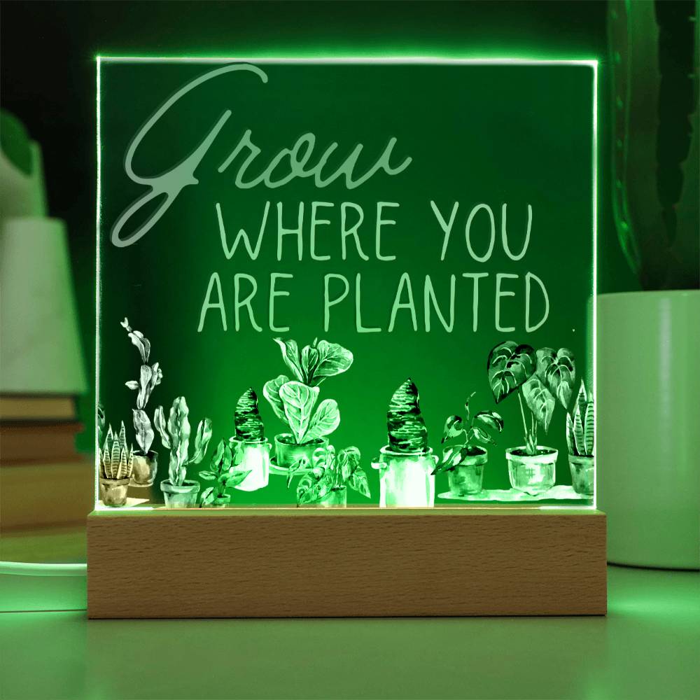 Grow Where You Are Planted - Funny Plant Acrylic with LED Night Light - Indoor Home Garden Decor - Perfect Gift for Plant Lovers