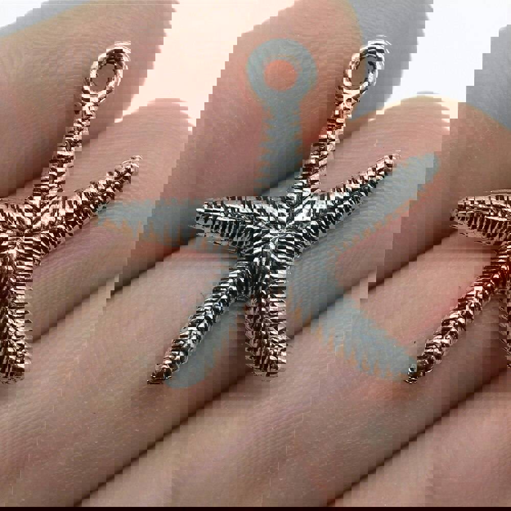 WYSIWYG 20pcs 25x24mm Starfish Charms Pendants for Jewelry Making in Antique Silver and Bronze