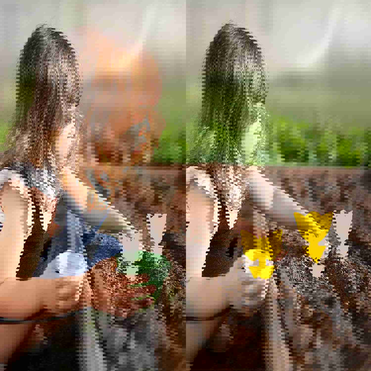 144 Pack Fruit Fly Traps Fungus Gnat Traps Yellow Sticky Bug Traps for Indoor Outdoor Use