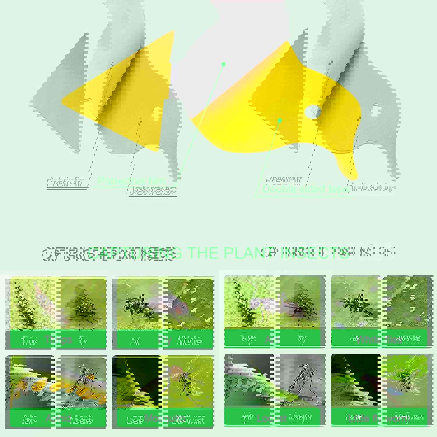 144 Pack Fruit Fly Traps Fungus Gnat Traps Yellow Sticky Bug Traps for Indoor Outdoor Use