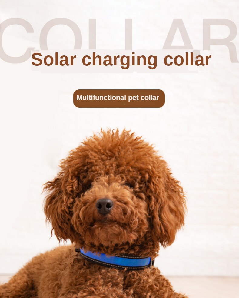 Solar Luminous Dog Collar - USB Charging Flash Pet Collar with Nylon Mesh