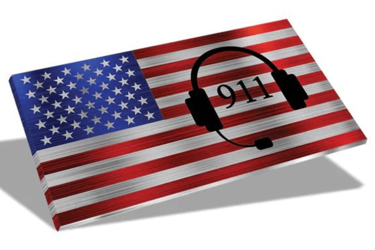 Metal Art of Wisconsin Indoor/Outdoor Hero Flags - High-Quality Brushed Aluminum