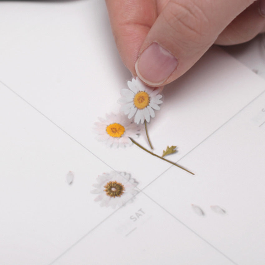 Appree Pressed Flower Stickers - Daisy