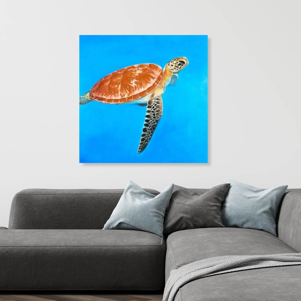 Green Aquatic Turtle Fine Art Gallery Wrapped Canvas 36x36