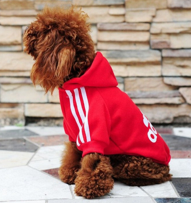 New Spring Fashion Pet Hoodie Cotton Sweater for Small Dogs and Cats