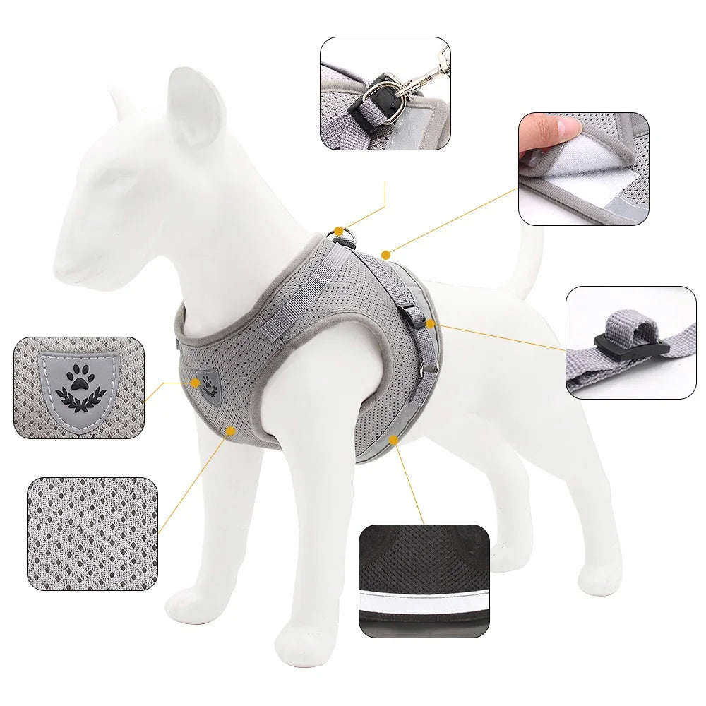 Premium Dog Harness and Leash Set for Small Dogs - Comfortable & Reflective Pet Accessories