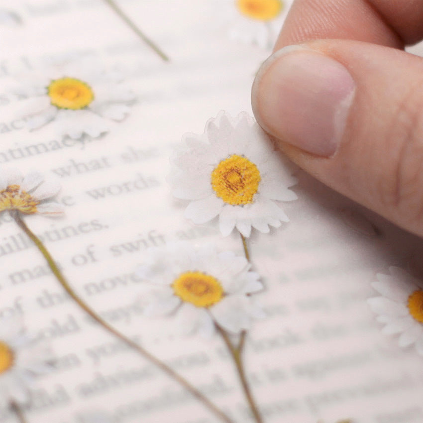 Appree Pressed Flower Stickers - Daisy