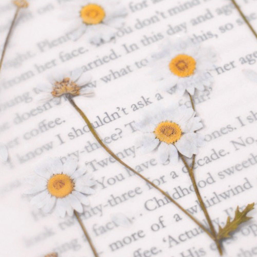 Appree Pressed Flower Stickers - Daisy