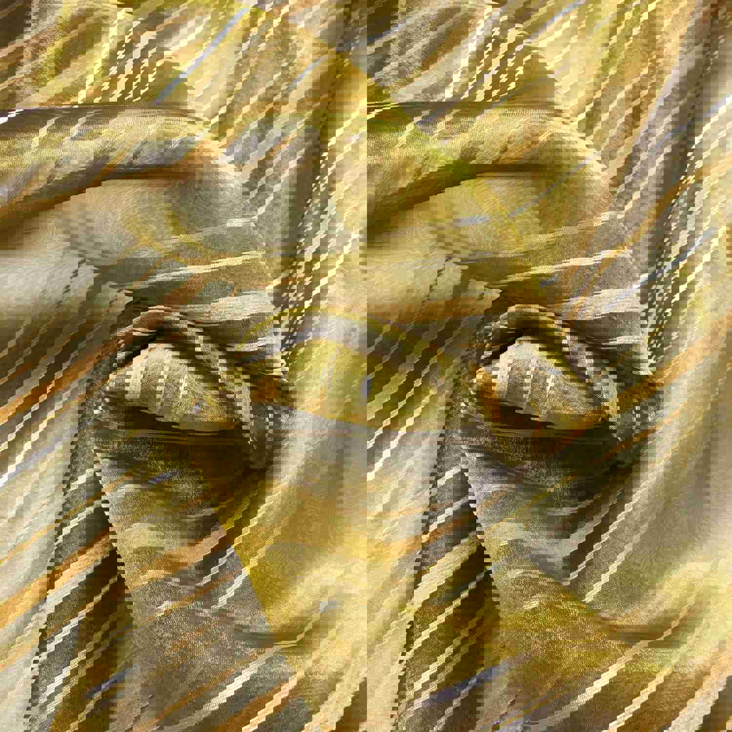 5 Yards Iridescent Sheer Fabric for Drapery, Curtain, and Home Decor
