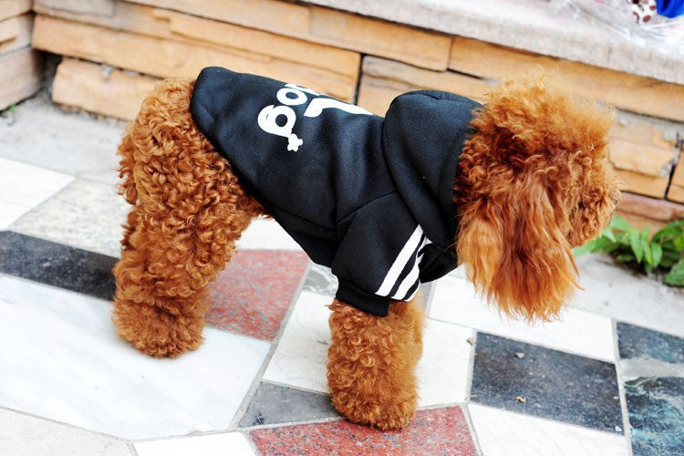 New Spring Fashion Pet Hoodie Cotton Sweater for Small Dogs and Cats