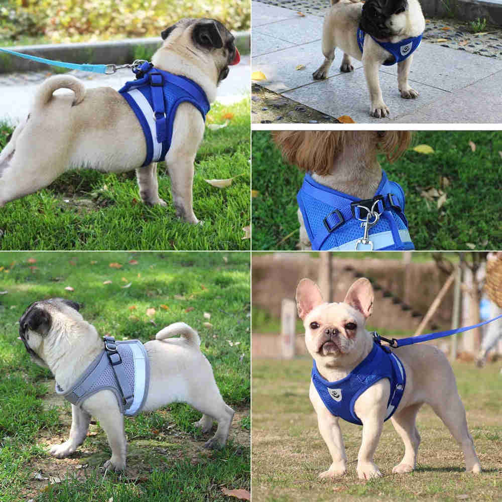 Premium Dog Harness and Leash Set for Small Dogs - Comfortable & Reflective Pet Accessories