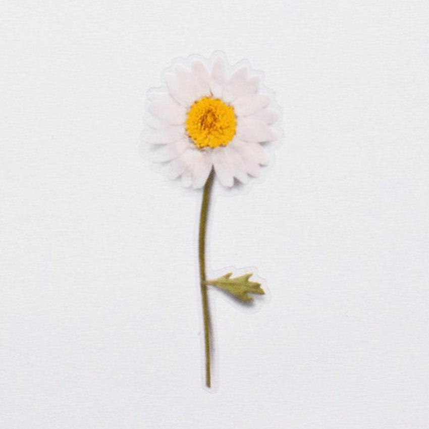 Appree Pressed Flower Stickers - Daisy