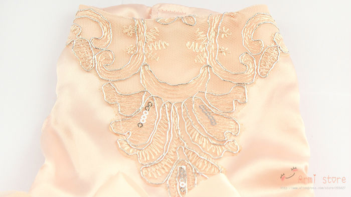 Armi Store Sequins Lace Embroidered Dog Dress - Princess Wedding Dresses for Dogs (XS, S, M, L, XL)
