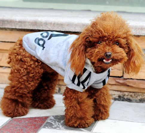 New Spring Fashion Pet Hoodie Cotton Sweater for Small Dogs and Cats
