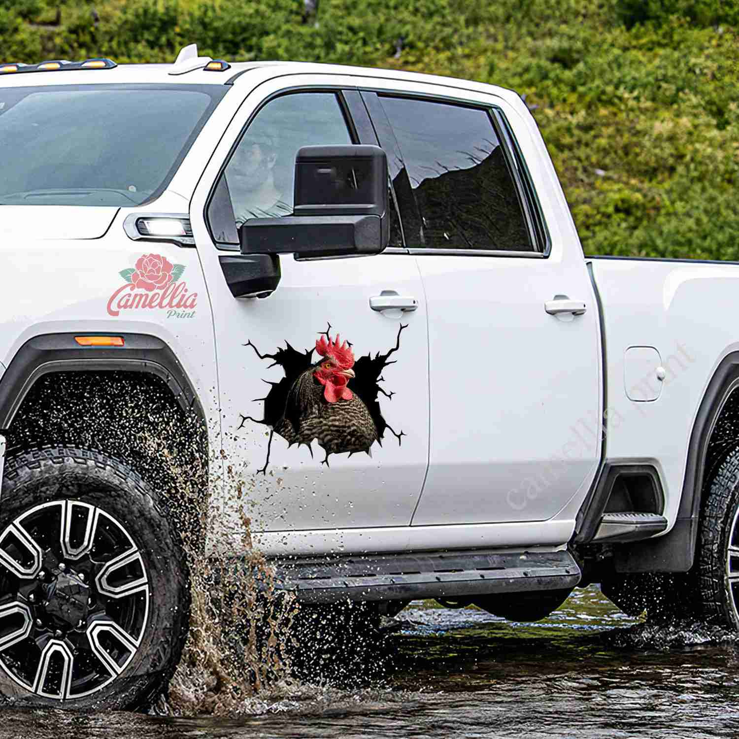 Plymouth Rock Chicken Crack Decor Decal - Custom Car Stickers for Outdoor & Indoor Use