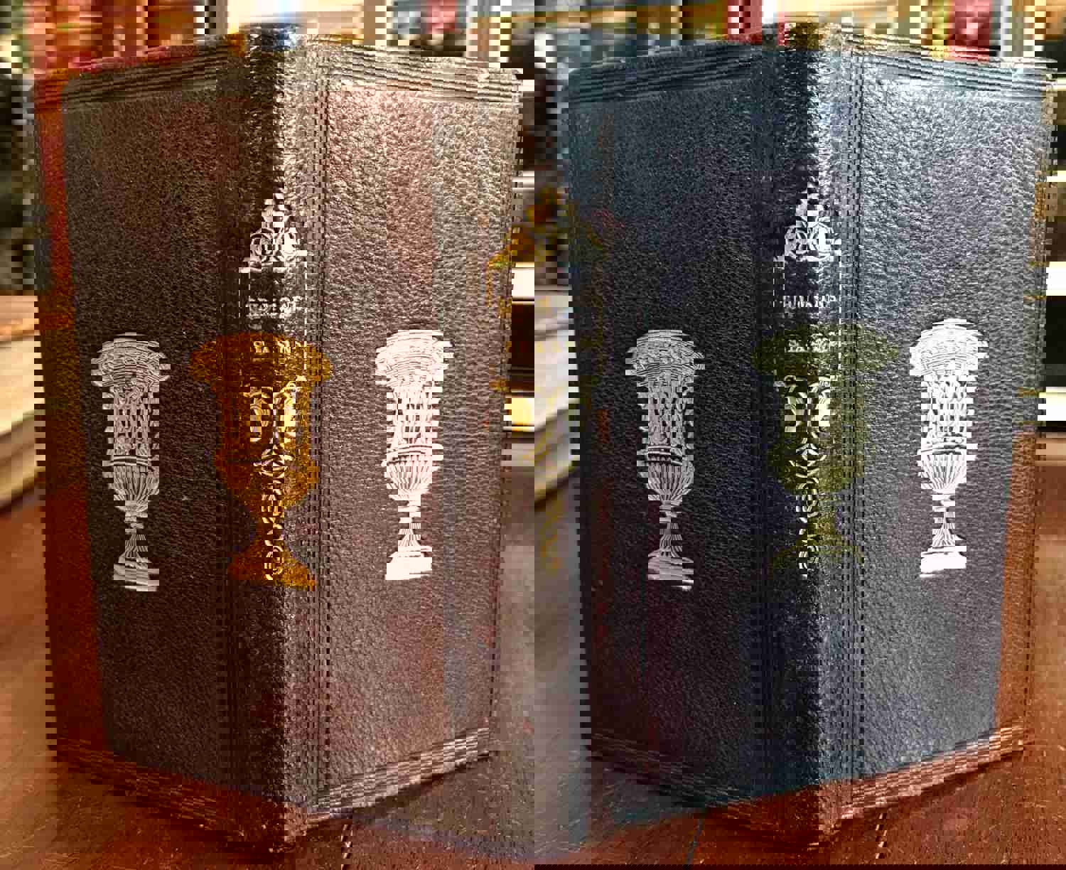 Seasons & Castle of Indolence 1835 James Thomson Gilt Urn Leather Book