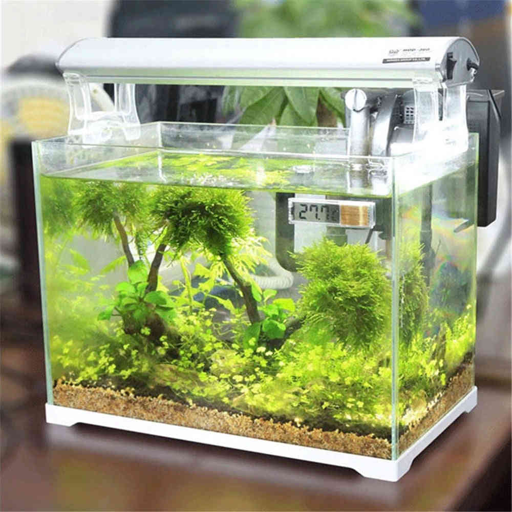 3D Digital LCD Electronic Fish Tank Thermometer with High Precision Sensor