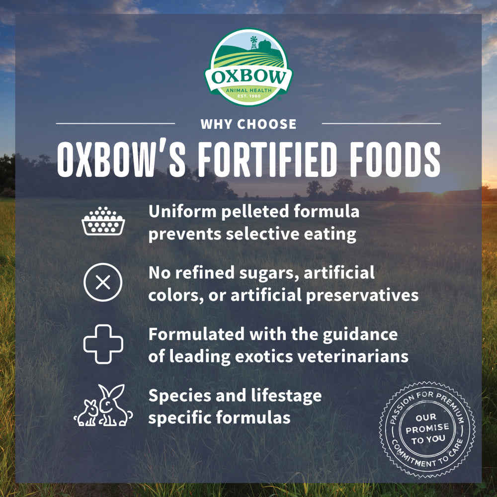 Oxbow Animal Health Essentials Chinchilla Food - All Natural Nutrition for Chinchillas