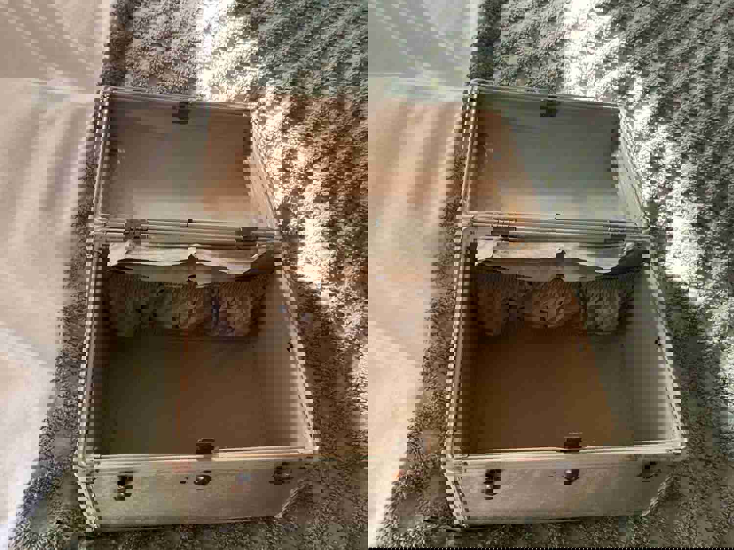 Vintage Samsonite Travel Train Case Shwayder Bros Marble Cream Suitcase Luggage