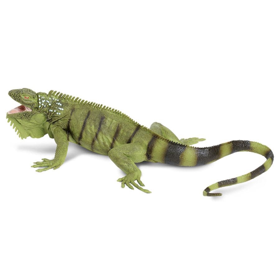 Iguana Toy - Realistic Reptile Model