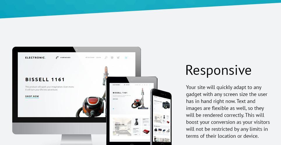 Professional Magento eCommerce Website Design for Small Businesses
