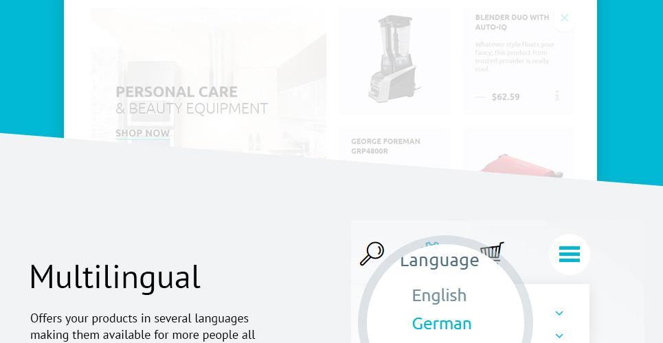 Professional Magento eCommerce Website Design for Small Businesses
