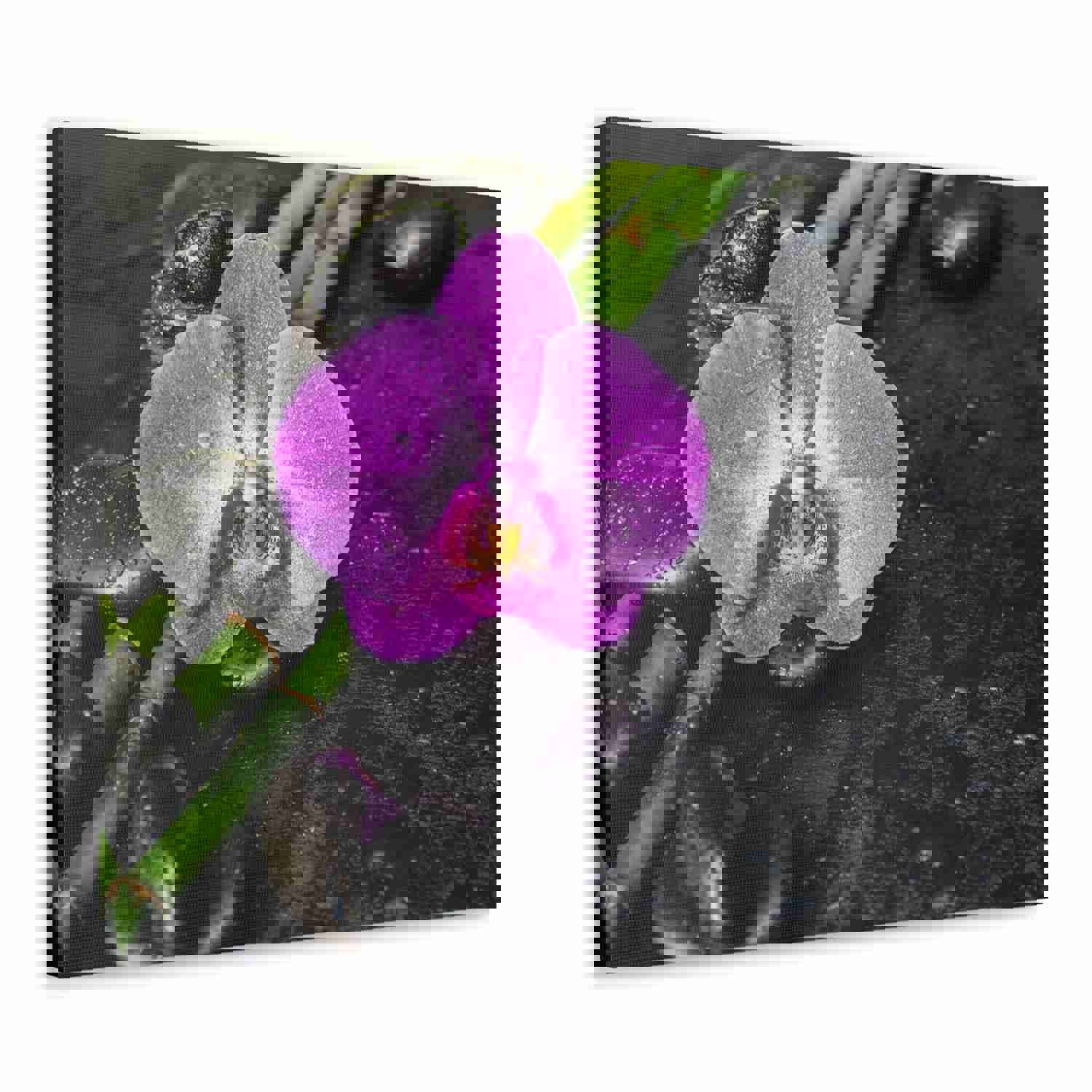 Pink Orchid and Stone Forest Floral Nature Photography Canvas Wall Art