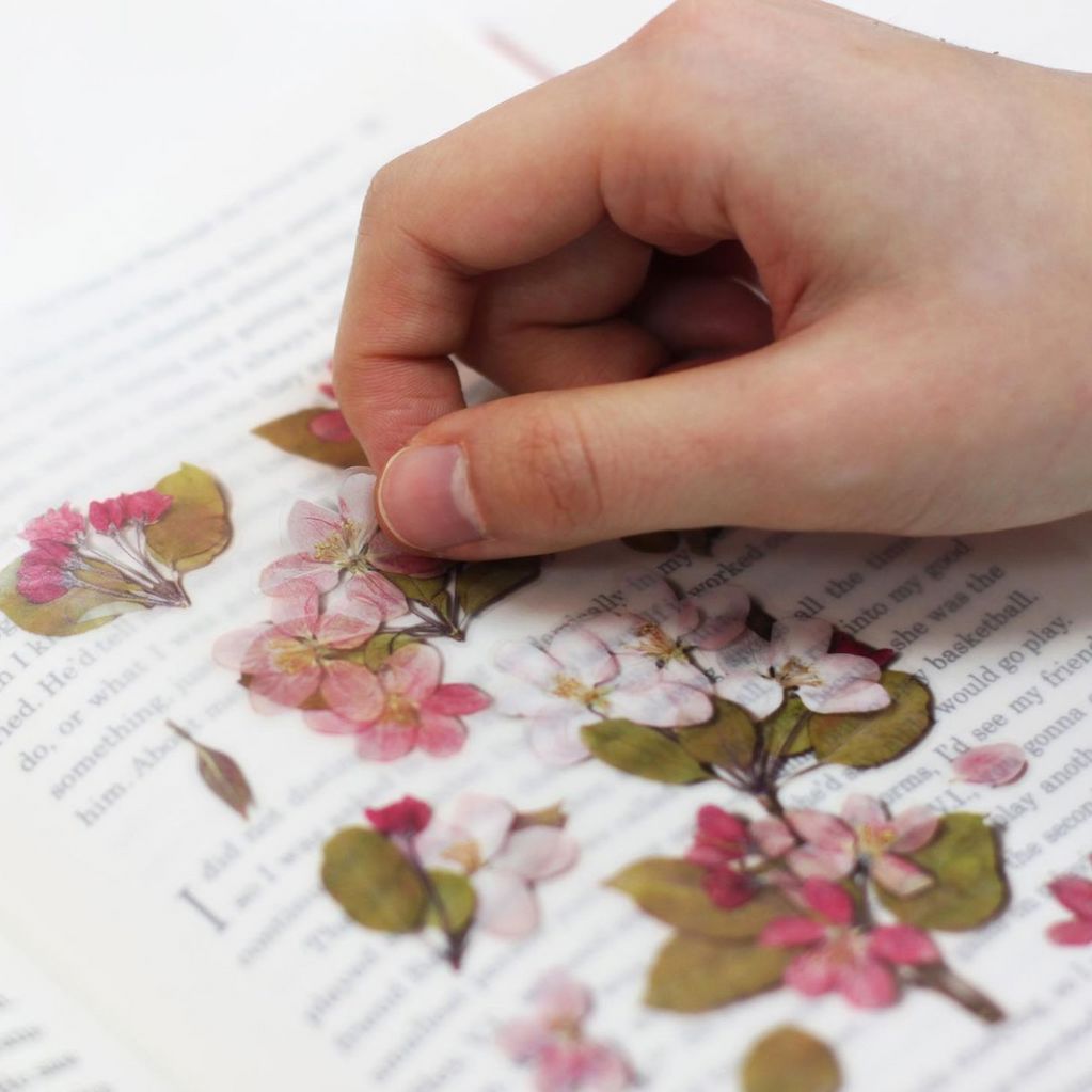Appree Pressed Flower Stickers - Apple Blossom
