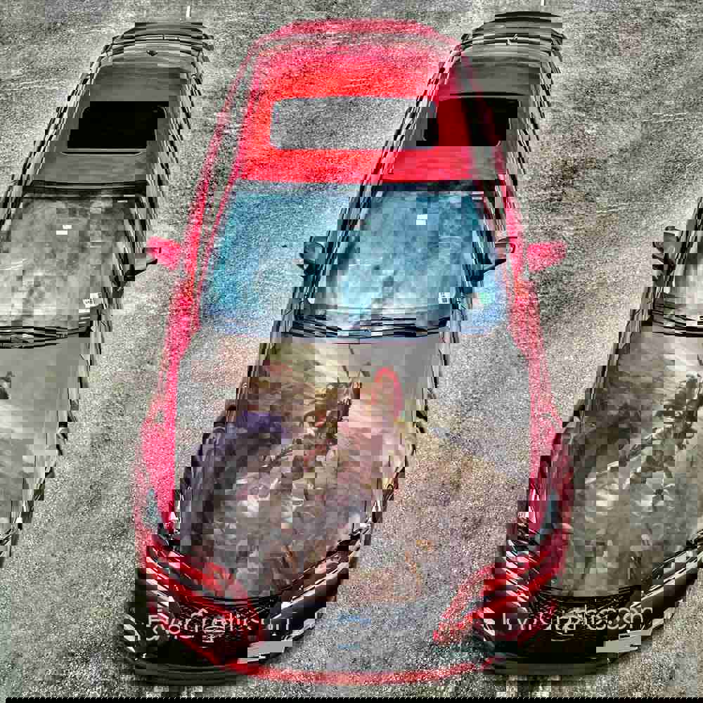 Athena Goddess Itasha Car Vinyl Hood Wrap Decal Sticker