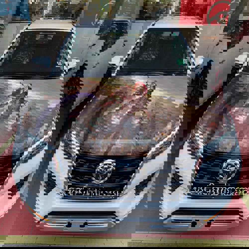 Athena Goddess Itasha Car Vinyl Hood Wrap Decal Sticker