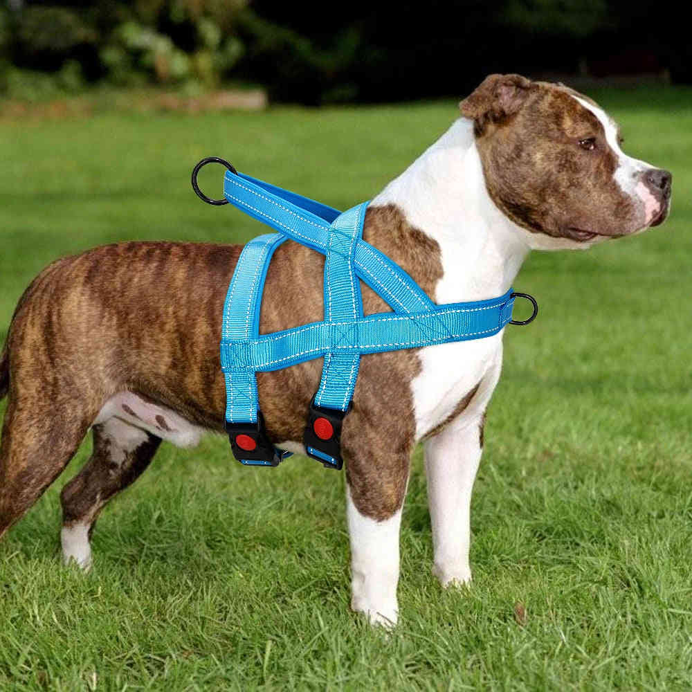 No Pull Nylon Dog Harness Reflective Adjustable Vest for Medium & Large Dogs