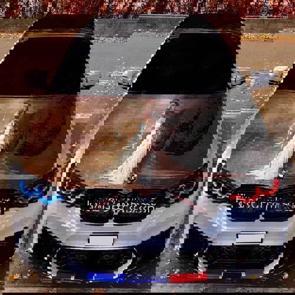 Athena Goddess Itasha Car Vinyl Hood Wrap Decal Sticker