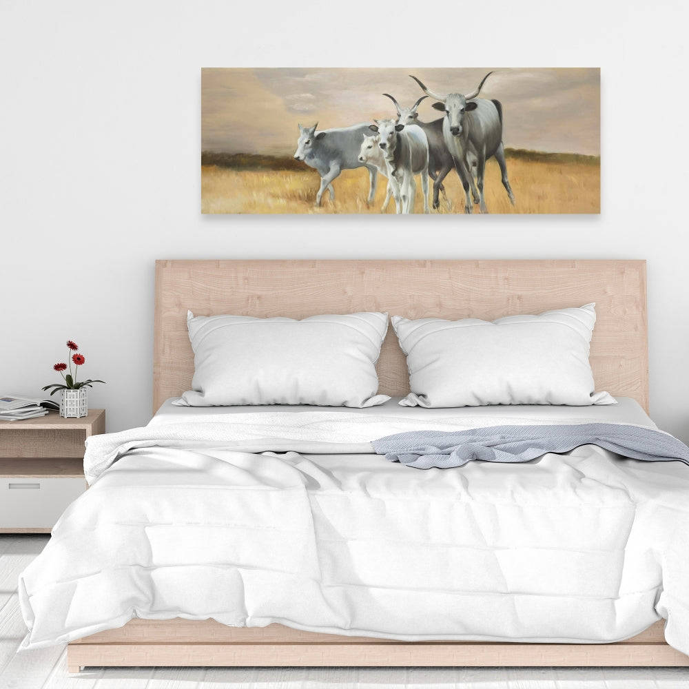 Nguni Breeding Fine Art Gallery Wrapped Canvas 16x48
