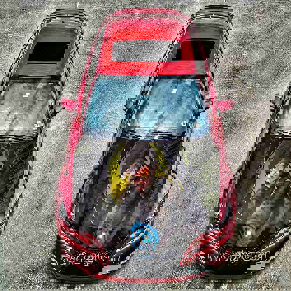 Tracer Overwatch Itasha Car Vinyl Hood Wrap Decal Sticker