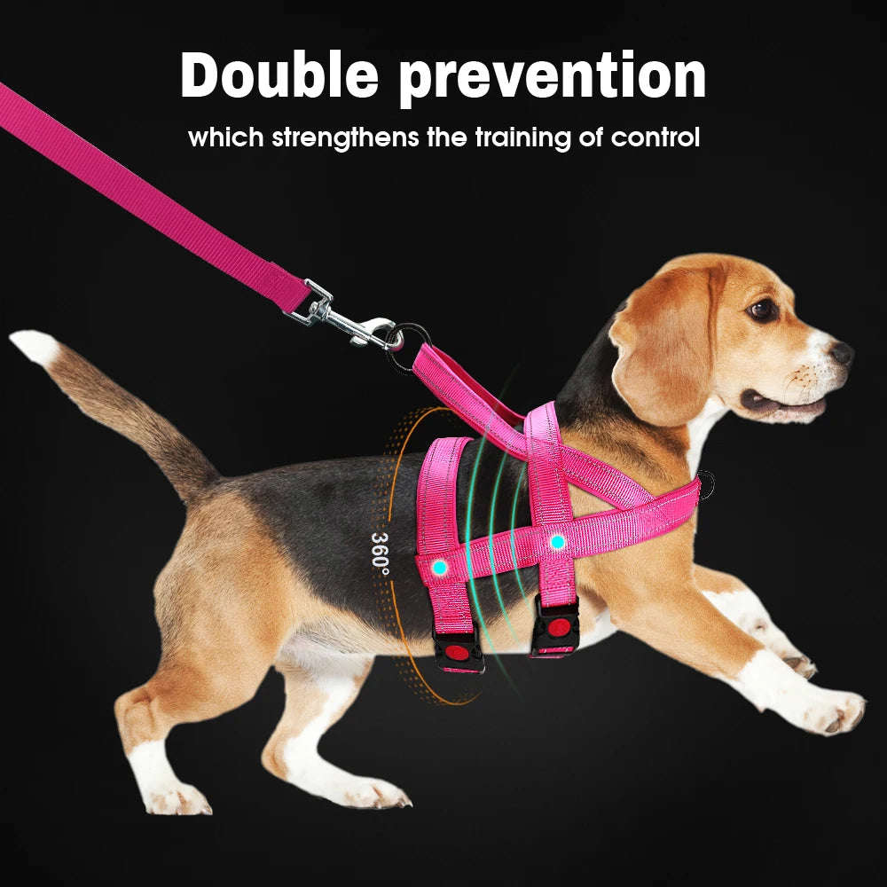 No Pull Nylon Dog Harness Reflective Adjustable Vest for Medium & Large Dogs