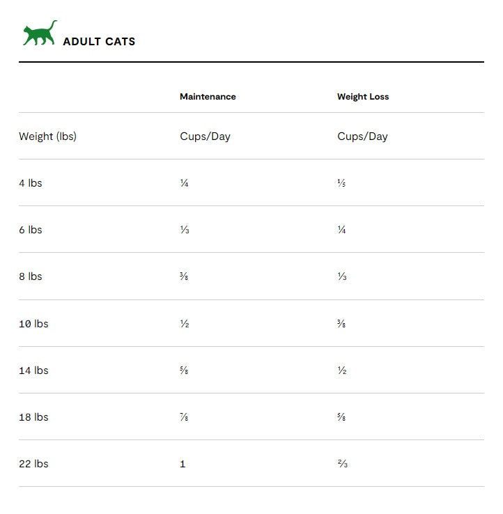 Open Farm Wild-Caught Salmon Dry Cat Food