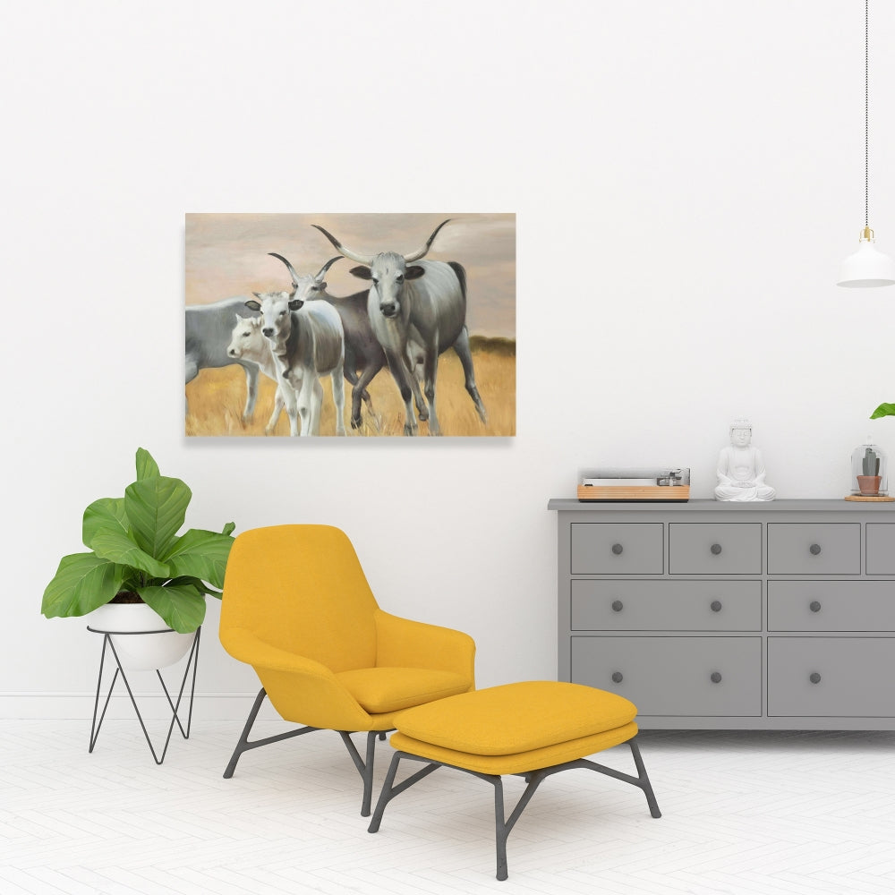 Nguni Breeding Fine Art Gallery Wrapped Canvas 16x48