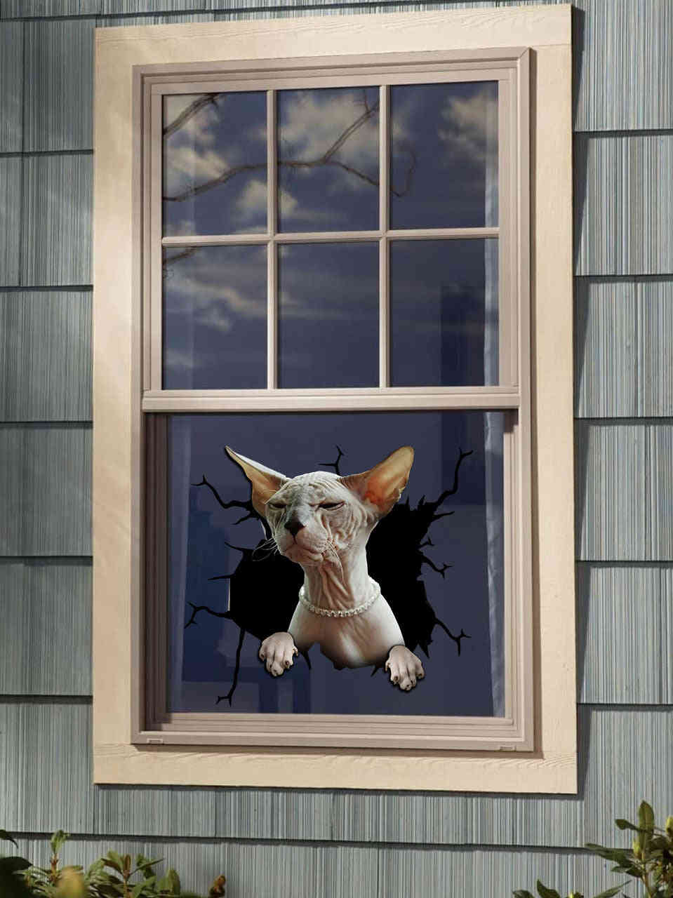 Sphynx Cat Crack Decal For Car - Cute Removable Stickers 10th Anniversary Gift