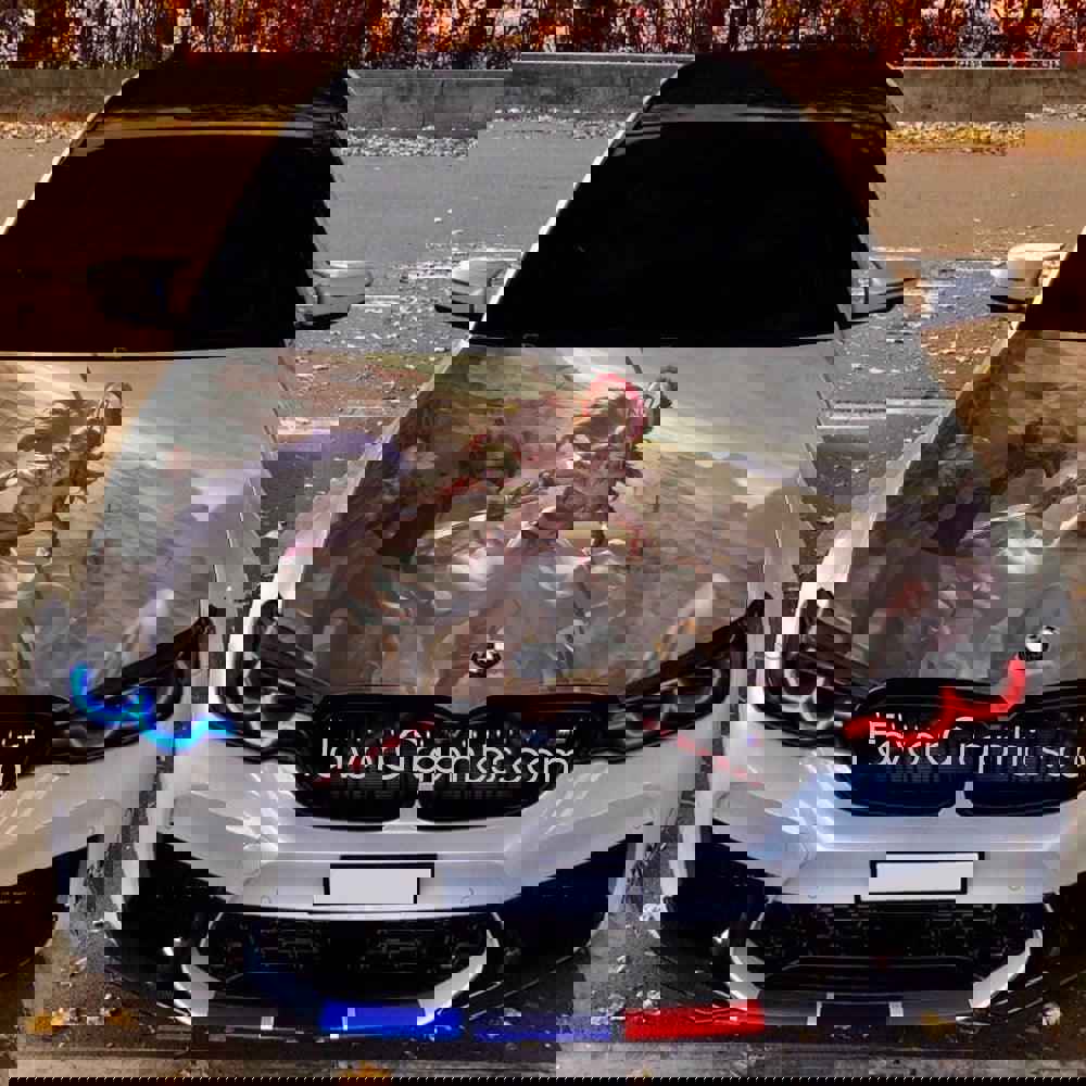 Athena Goddess Itasha Car Vinyl Hood Wrap Decal Sticker