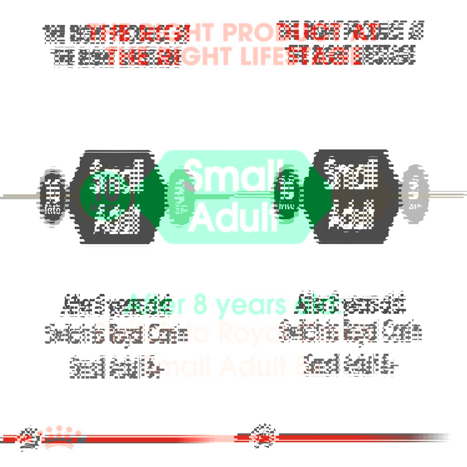 Royal Canin Small Adult Dry Dog Food for Small Breeds (9-22 lbs)