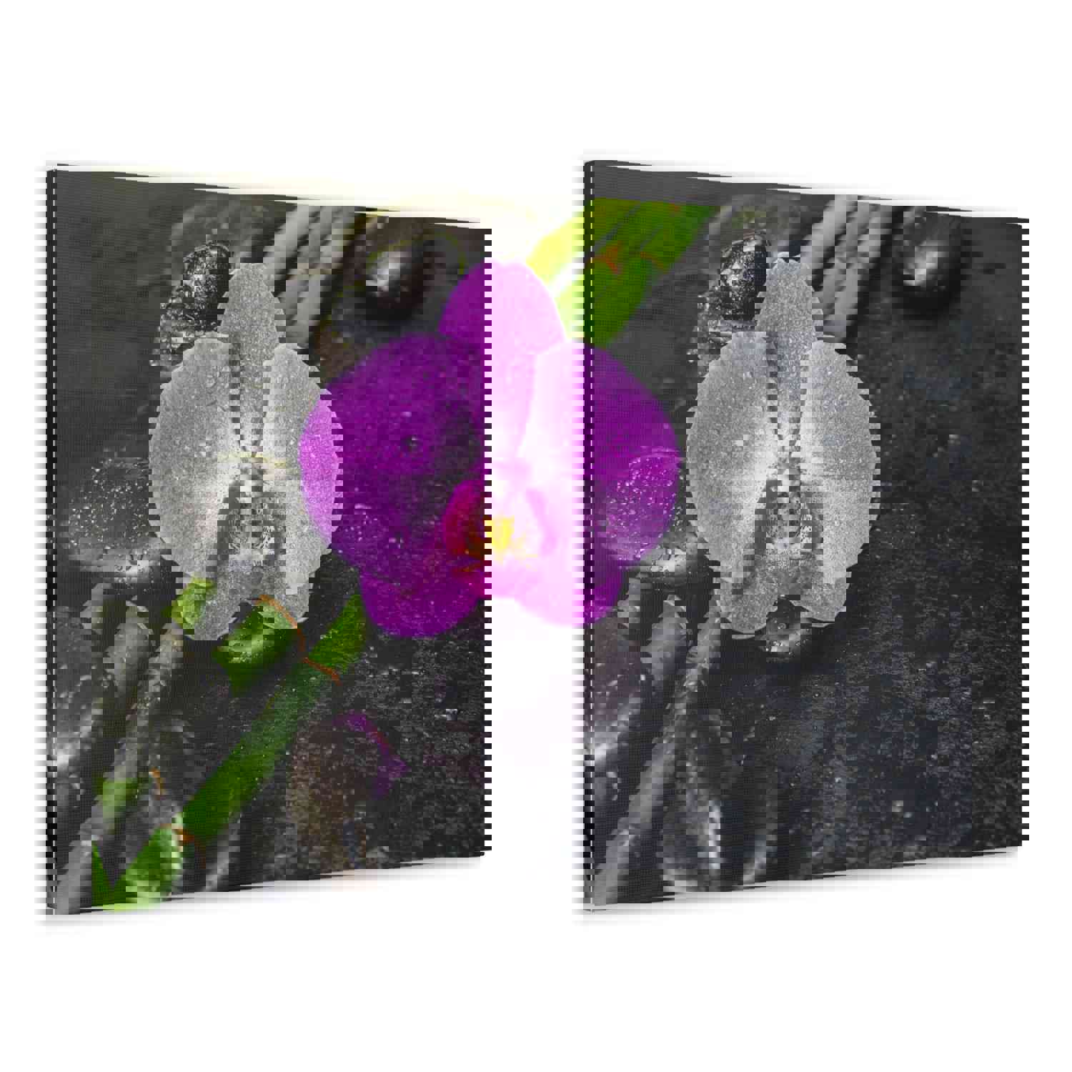 Pink Orchid and Stone Forest Floral Nature Photography Canvas Wall Art