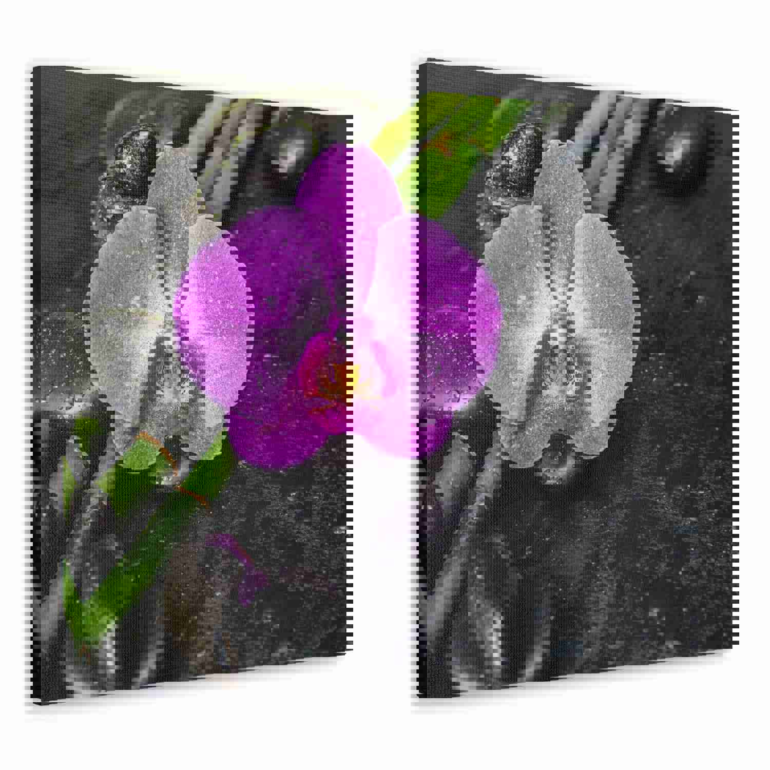 Pink Orchid and Stone Forest Floral Nature Photography Canvas Wall Art