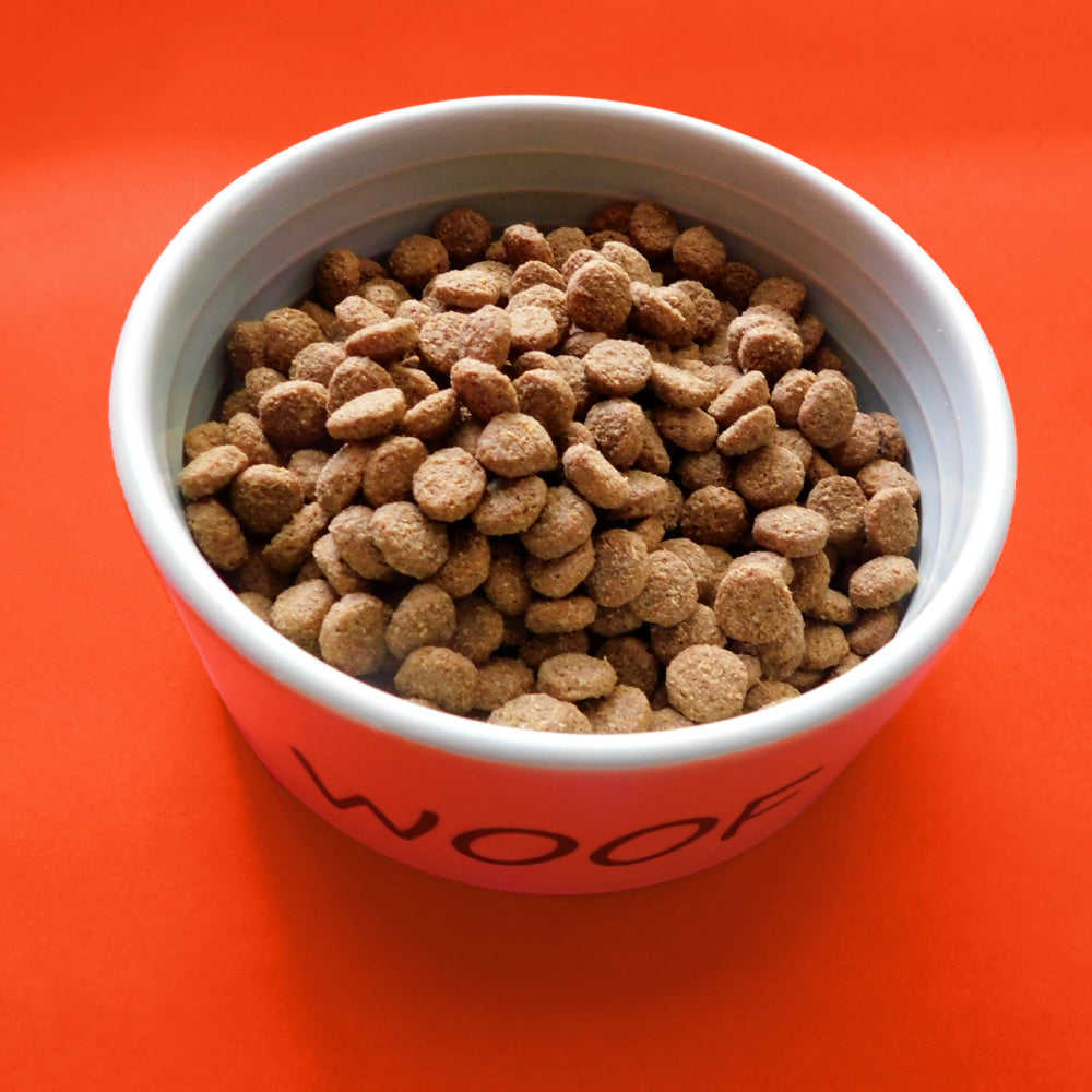 Fromm Gold Weight Management Dry Dog Food for Adult Dogs