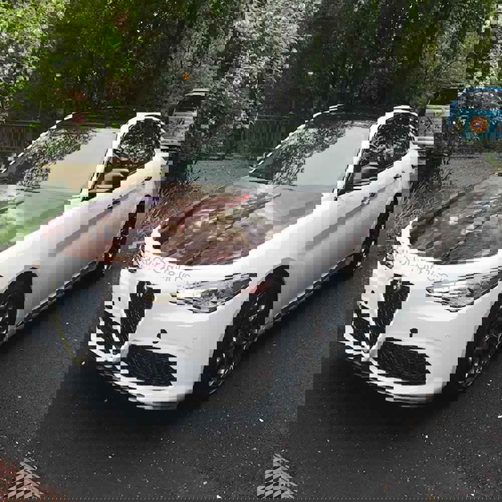 Athena Goddess Itasha Car Vinyl Hood Wrap Decal Sticker