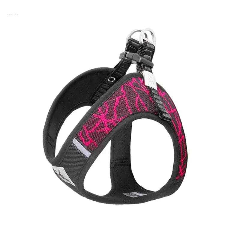 Comfortable Dog Leash & Harness Set for Small and Medium Dogs