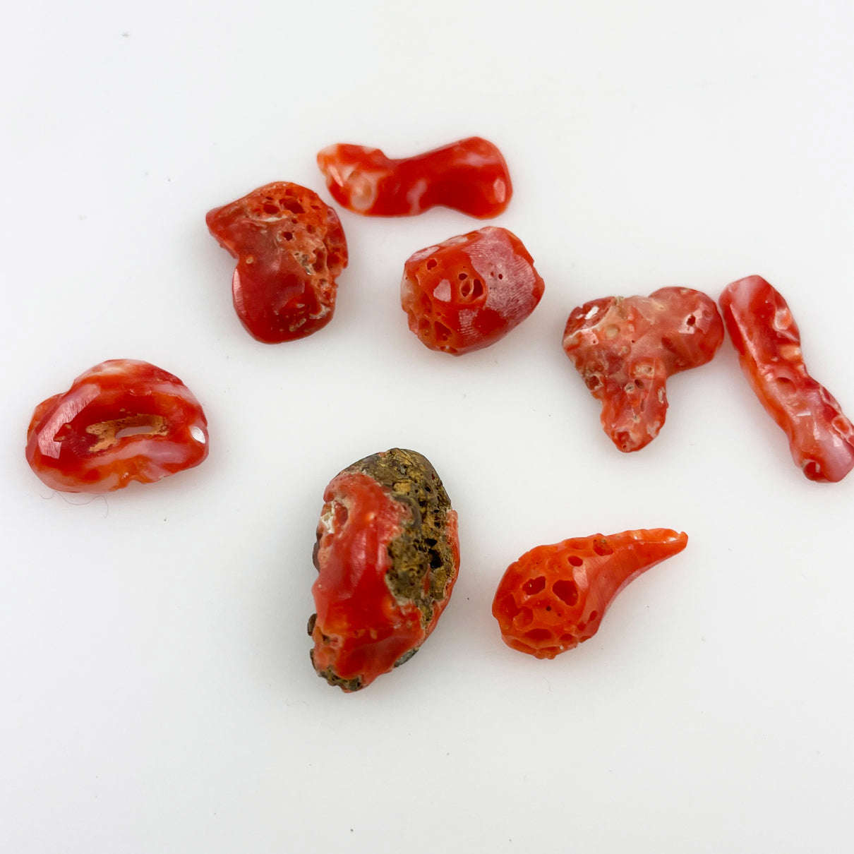 Natural Italian Red Coral Cabochons Lot - Vintage Free Form Coral Pieces
