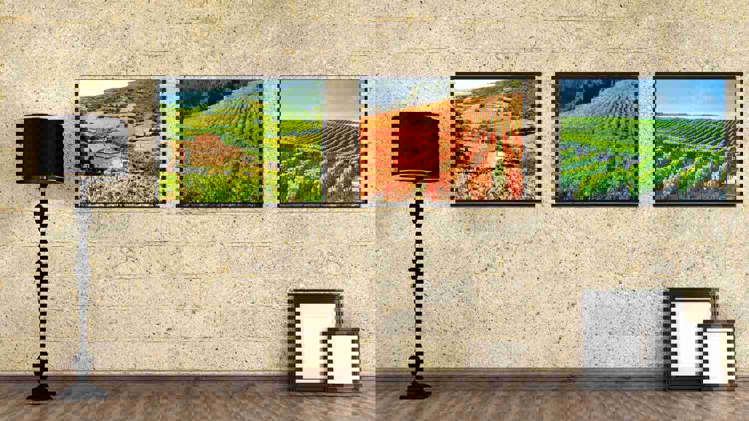 Vineyard Tuscany Italy Landscape Photo Canvas Print - Home Décor Wall Art